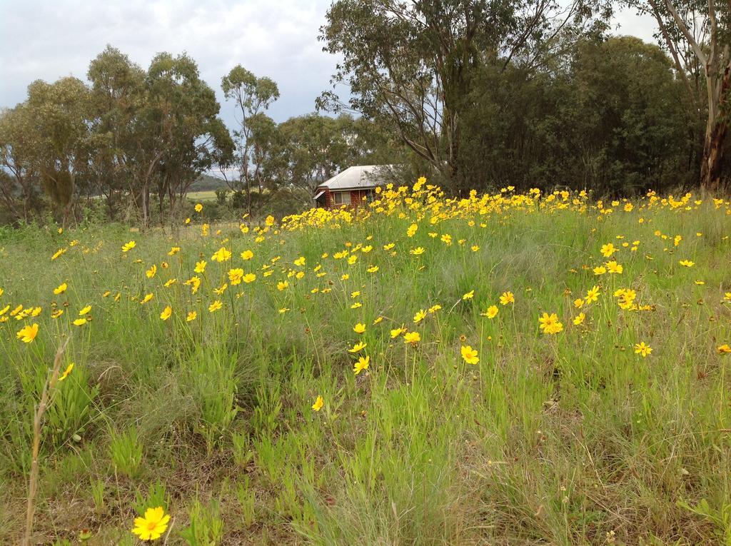 Fergies Hill Spa Cottage @ Granite Ridge Wines Ballandean エクステリア 写真